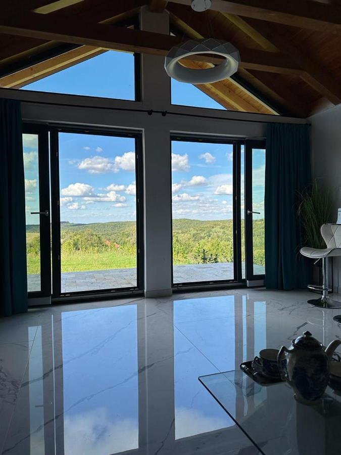 Casa Moderna In Sinteu - Intersectia Intre Modern Si Linistea Naturii Huta Voivozi Exteriör bild