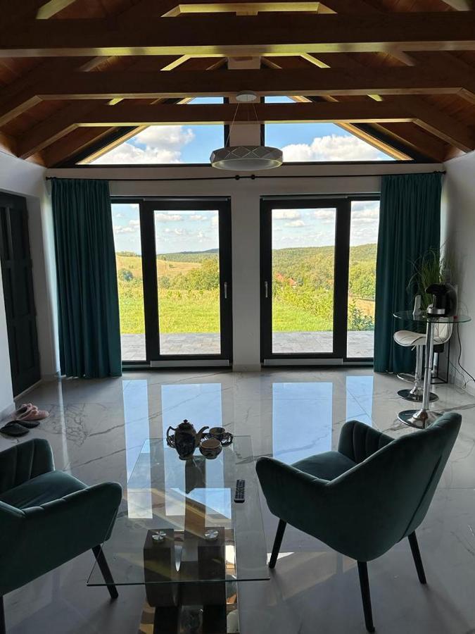 Casa Moderna In Sinteu - Intersectia Intre Modern Si Linistea Naturii Huta Voivozi Exteriör bild
