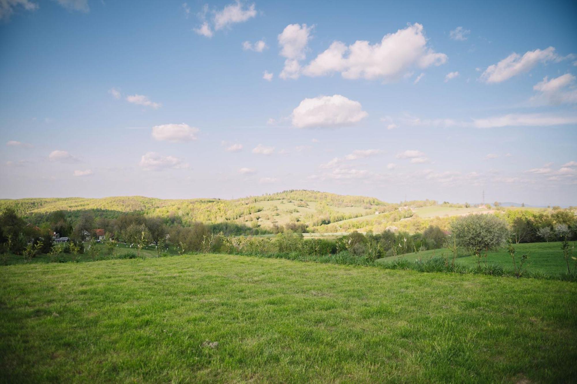 Casa Moderna In Sinteu - Intersectia Intre Modern Si Linistea Naturii Huta Voivozi Exteriör bild